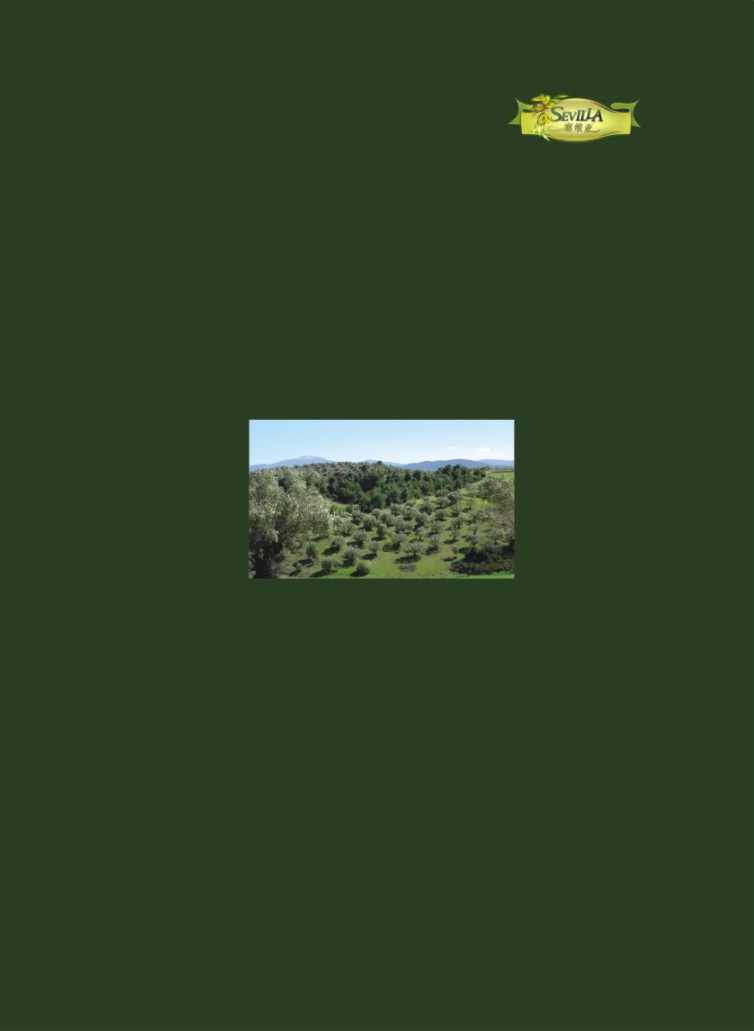 塞维亚橄榄油电子样本画册