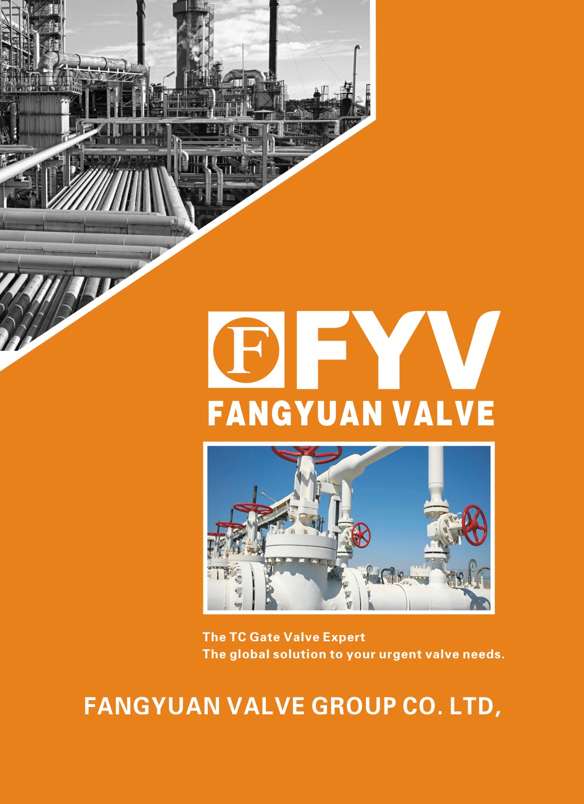 FANGYUAN VALVE E-BOOKԲó飩