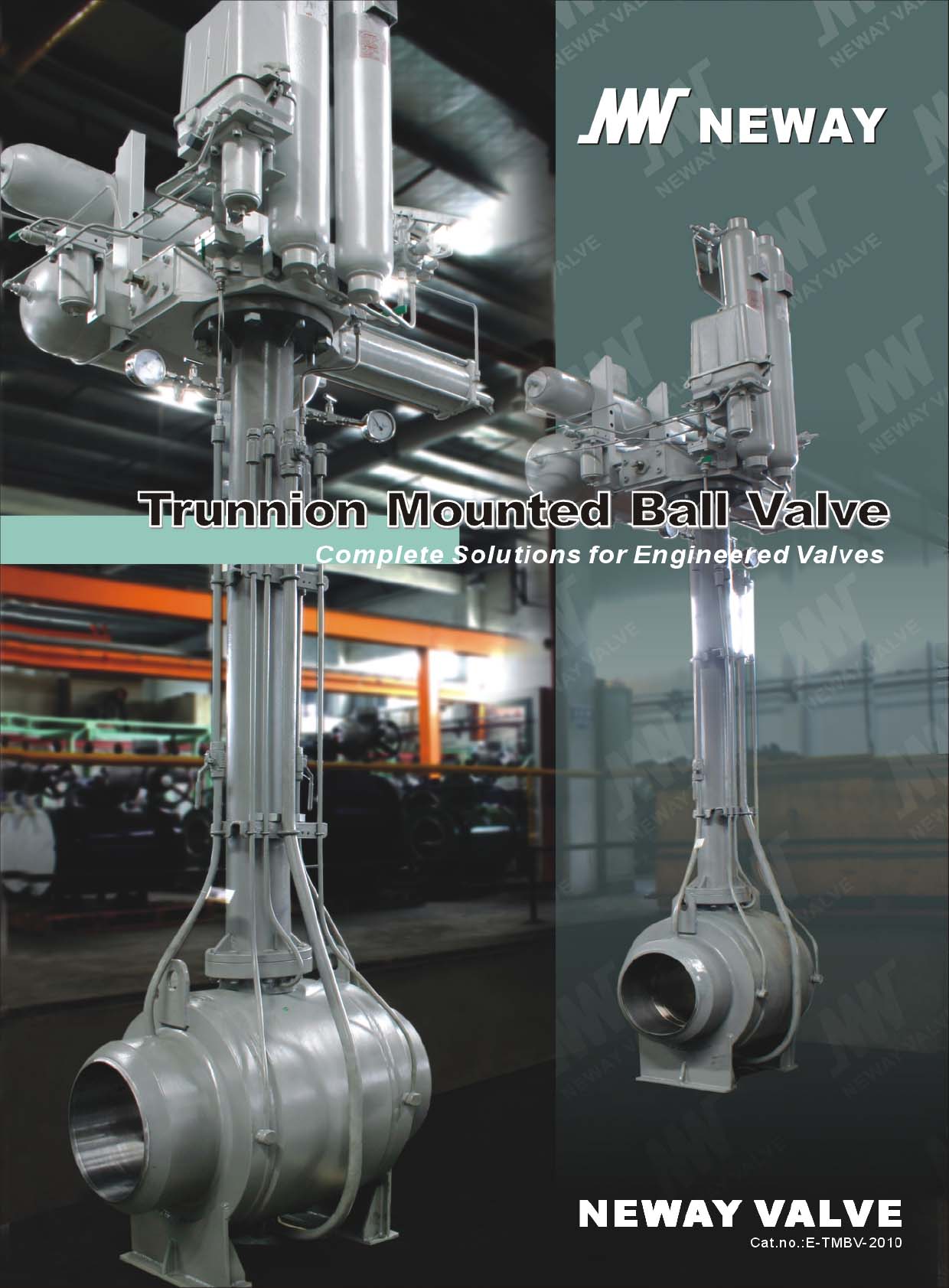 ŦNEWAY VALVETrunnion Mounted Ball Valve