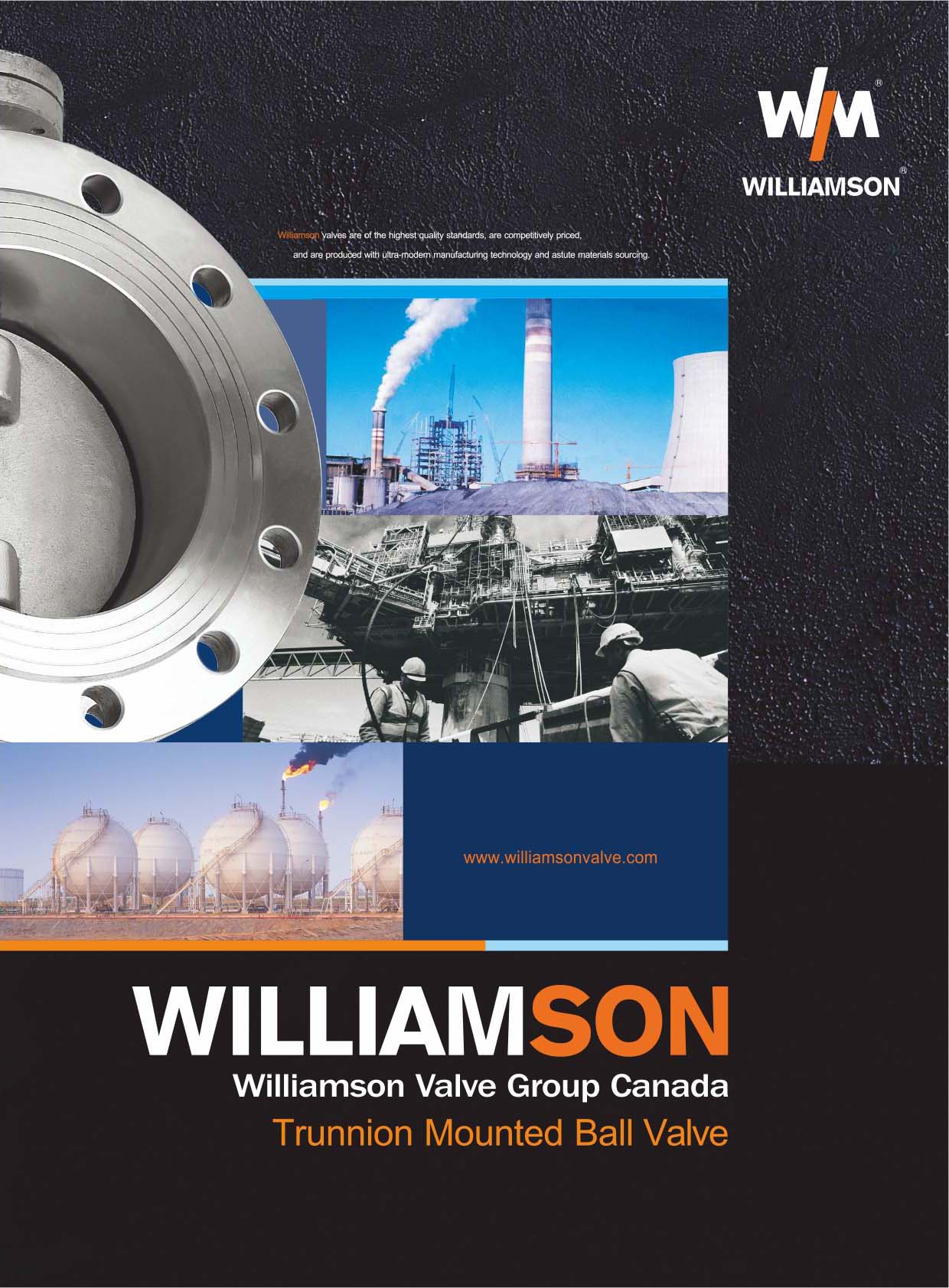 Williamson Valve Trunnion Mounted Ball Valve