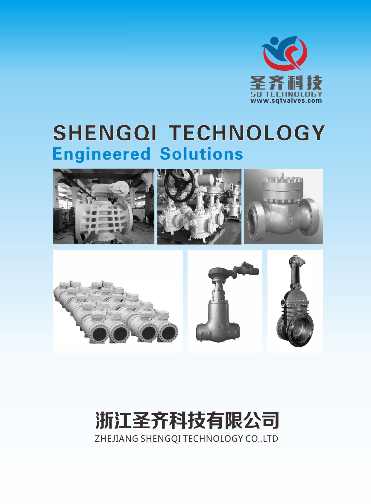 SHENGQI TECHNOLOGY(ʥƼE-BOOK